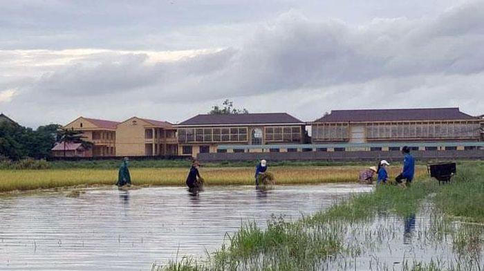 Các tỉnh từ Quảng Ninh đến Đà Nẵng cấp tốc ứng phó bão số 5