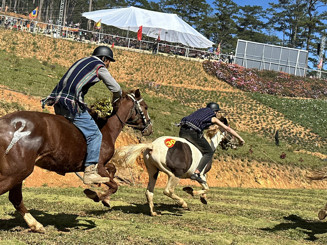 Mãn nhãn ngắm ngựa tung vó trên 'nóc nhà' Tây Nguyên