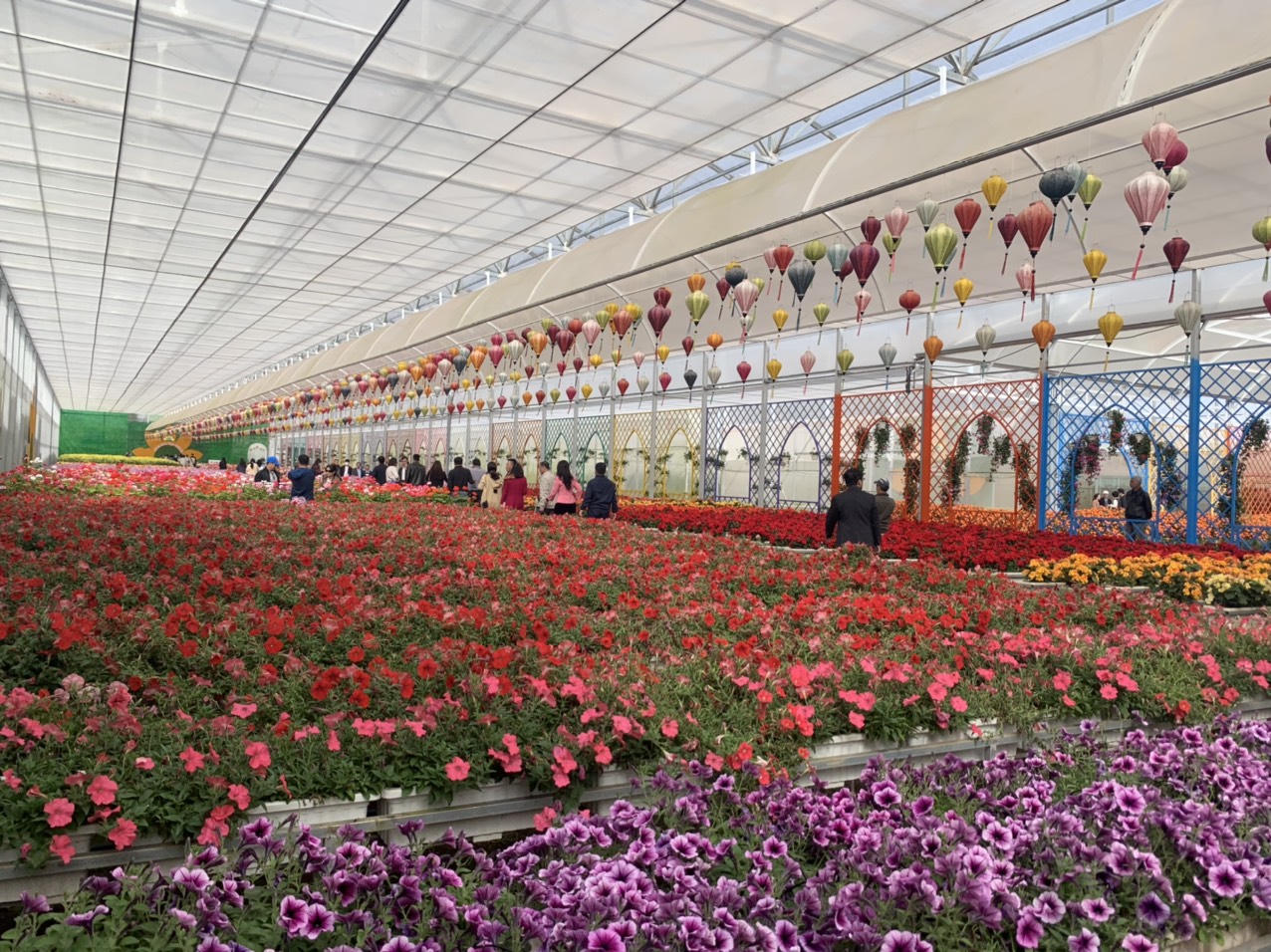 Đến Festival hoa Đà Lạt, thêm trải nghiệm làng hoa truyền thống 