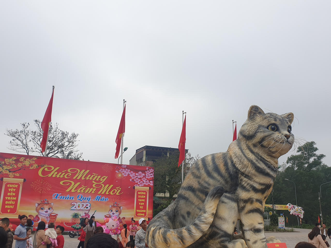 “Hoa hậu mèo” hút khách check-in ngày Tết