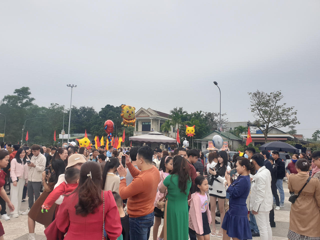 “Hoa hậu mèo” hút khách check-in ngày Tết