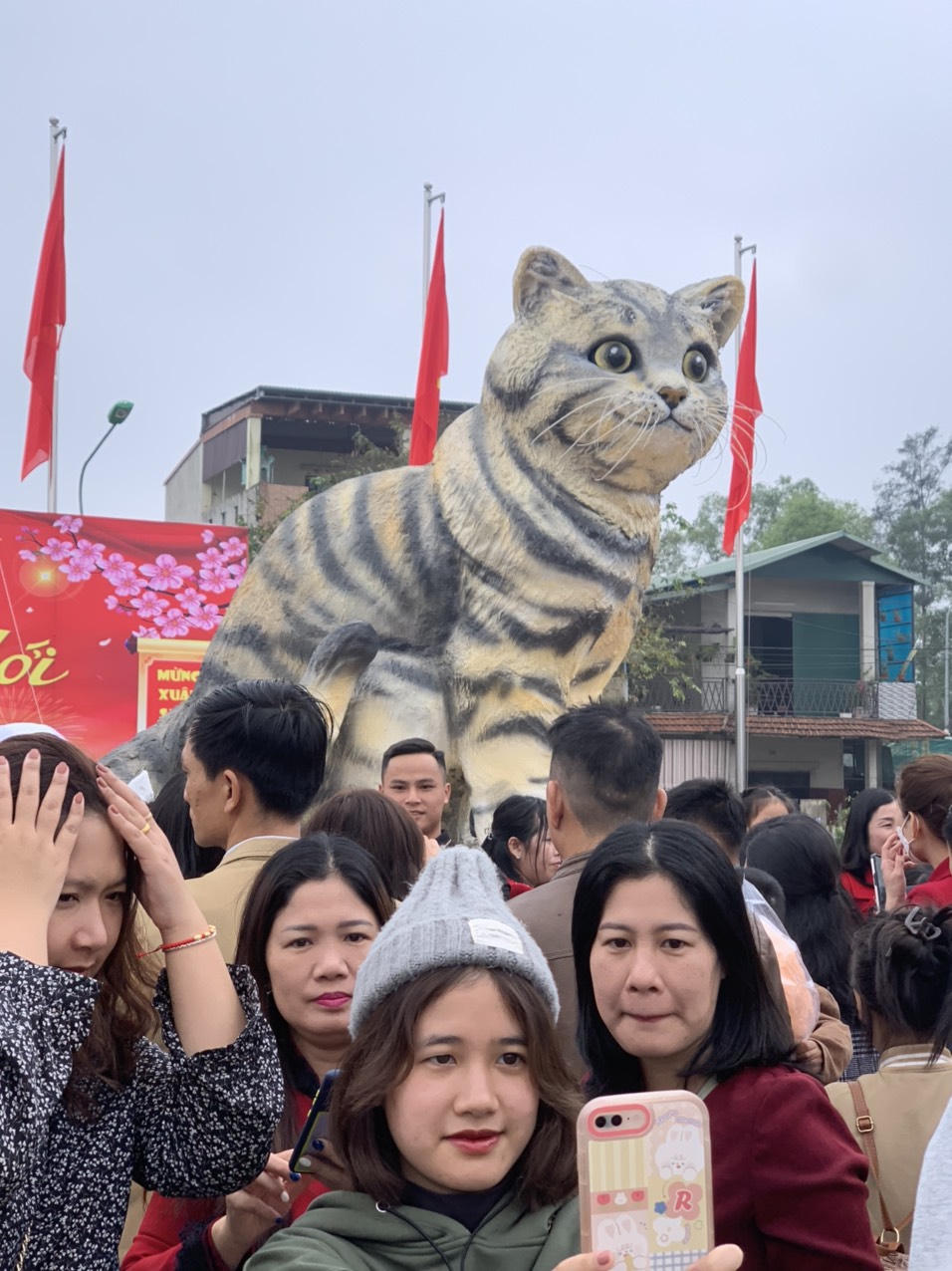 “Hoa hậu mèo” hút khách check-in ngày Tết