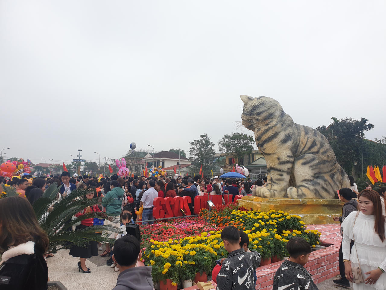 “Hoa hậu mèo” hút khách check-in ngày Tết