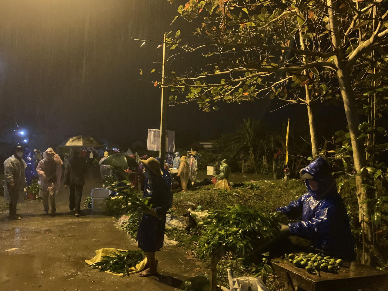 Đội mưa cầu may ở phiên chợ Tết mở cửa lúc rạng sáng