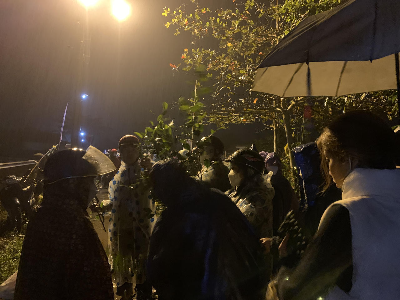 Đội mưa cầu may ở phiên chợ Tết mở cửa lúc rạng sáng