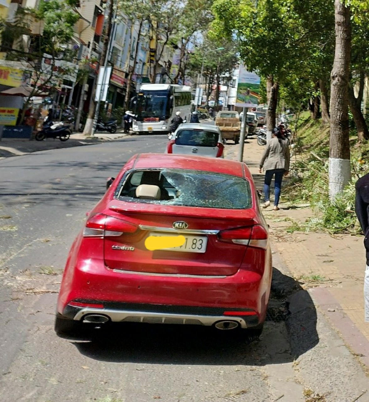 Nhánh cây gãy đè vỡ kính xe ô tô ở trung tâm Đà Lạt