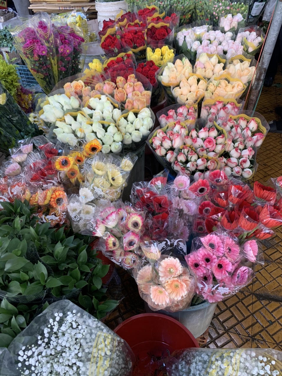 'Thành phố tình yêu' rực rỡ sắc hoa dịp 8/3