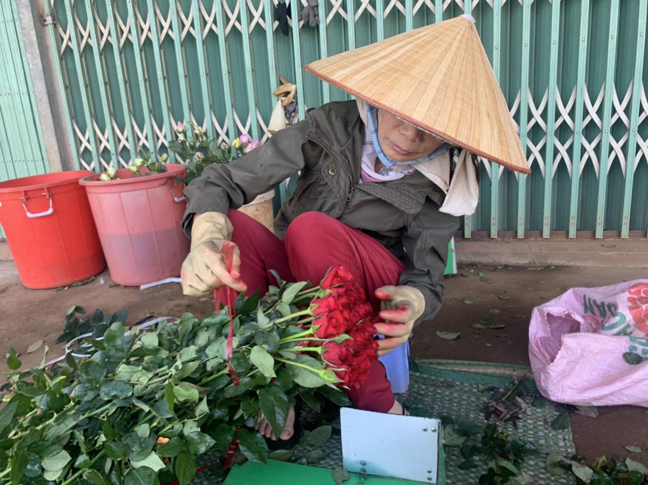 'Thành phố tình yêu' rực rỡ sắc hoa dịp 8/3