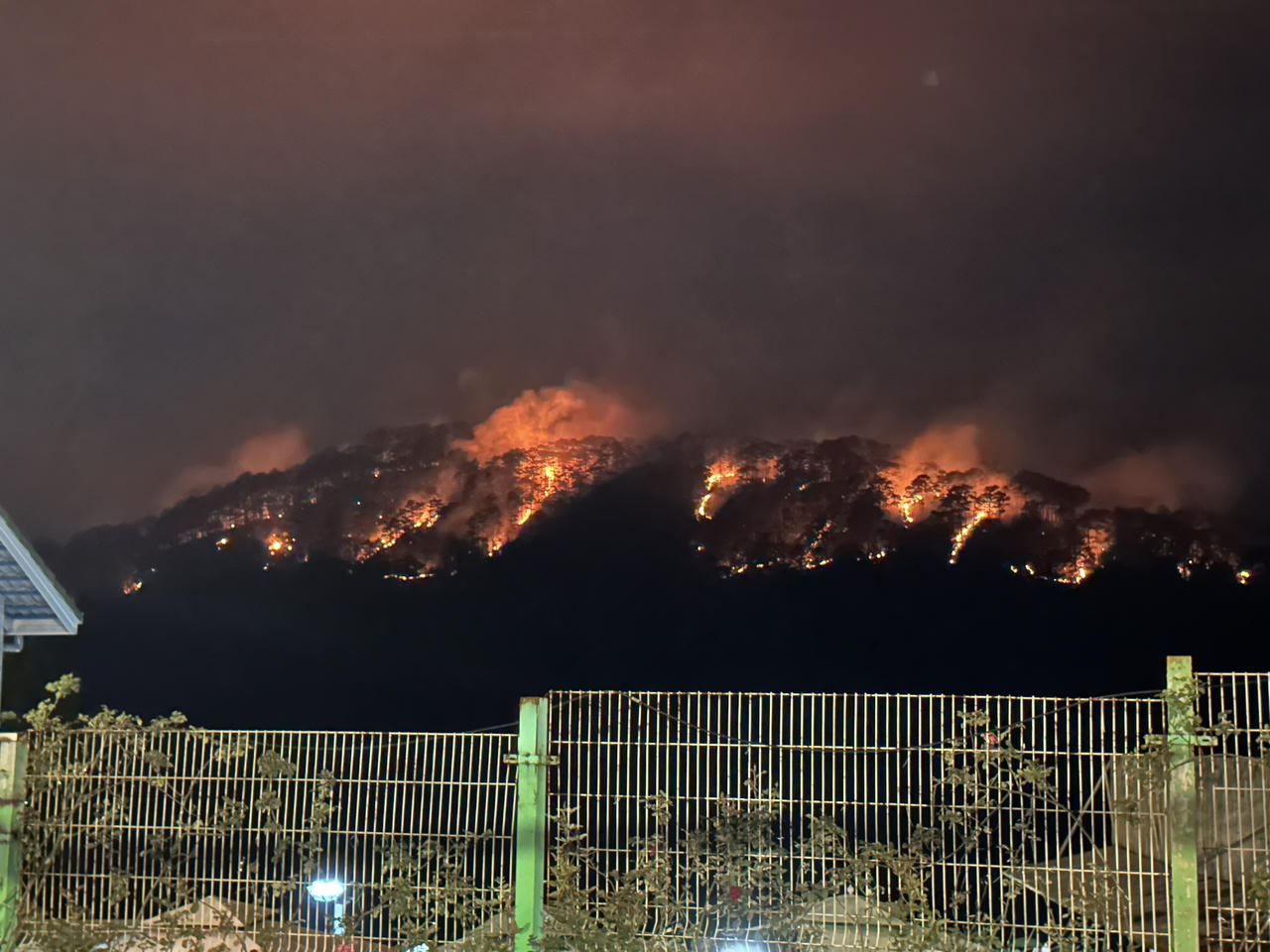 Cháy rừng thông nguyên sinh ở Đà Lạt