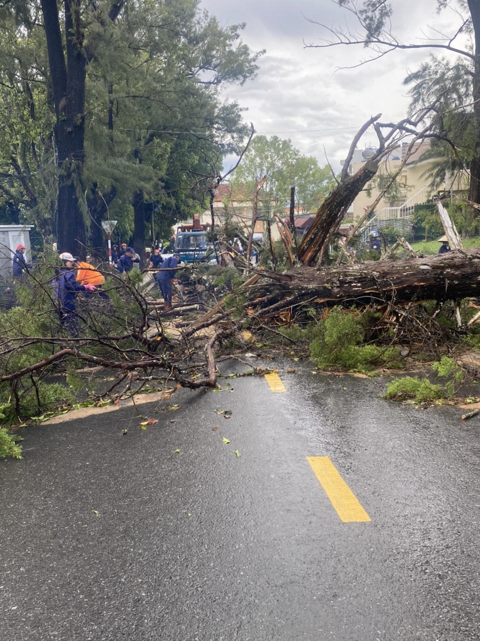 Đà Lạt ngập đường, đổ nhiều cây sau mưa lớn