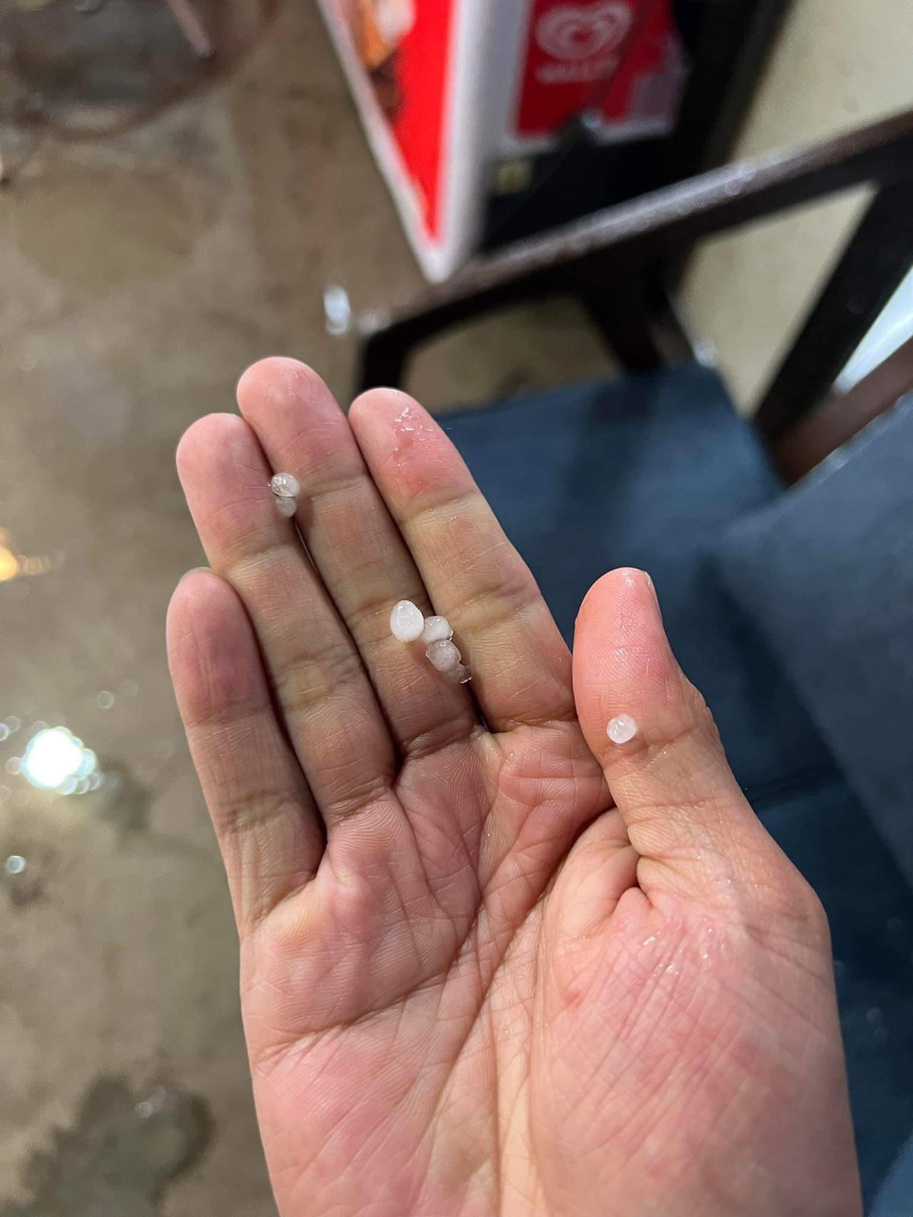 Đà Lạt ngập đường, đổ nhiều cây sau mưa lớn