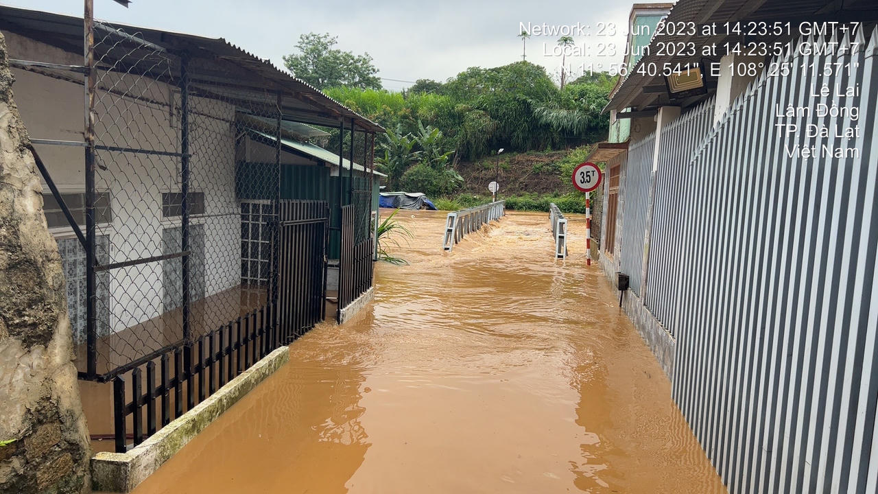 Đà Lạt ngập đường, đổ nhiều cây sau mưa lớn