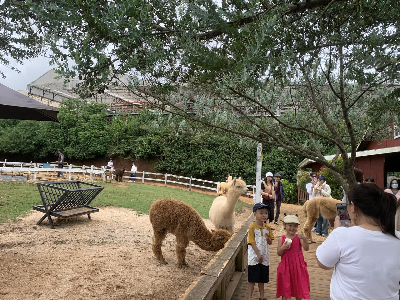 Dịp Lễ Quốc Khánh, khách đến Đà Lạt tăng 25% so với cùng kỳ