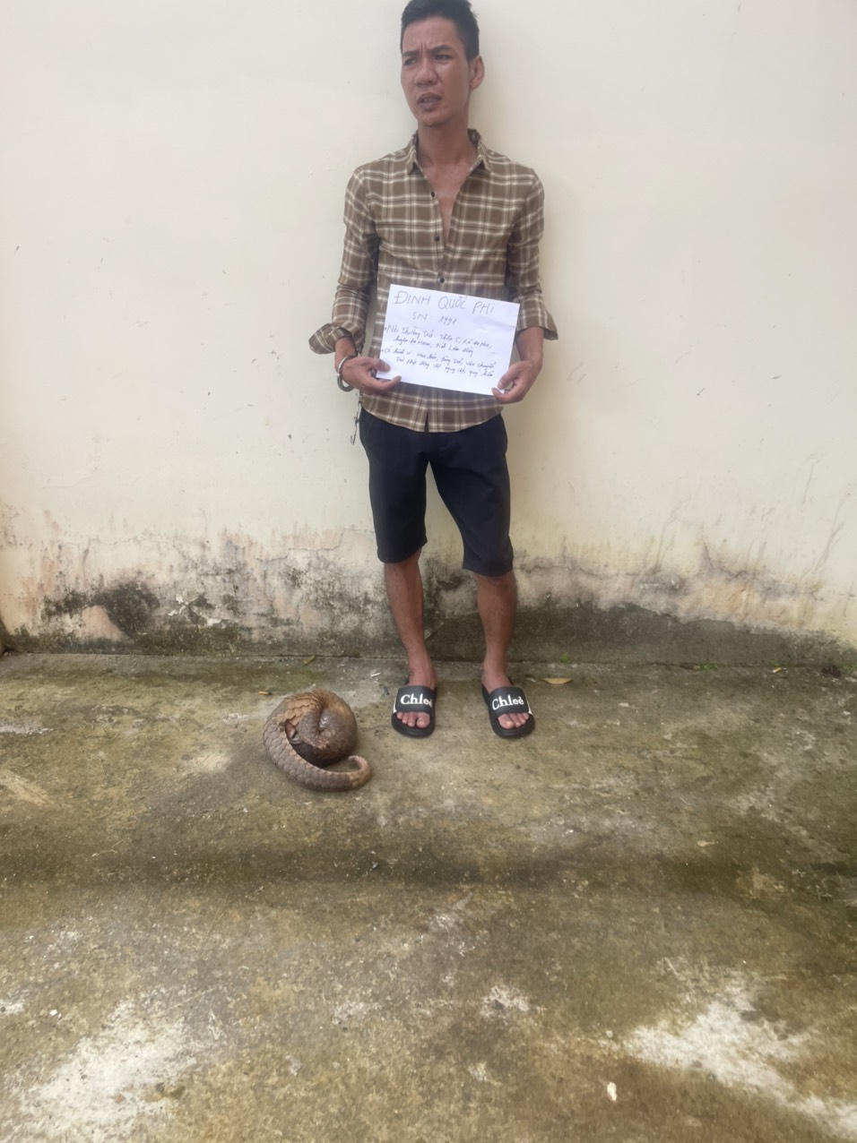 Bắt giữ nam thanh niên vận chuyển tê tê nặng hơn 5,3 kg