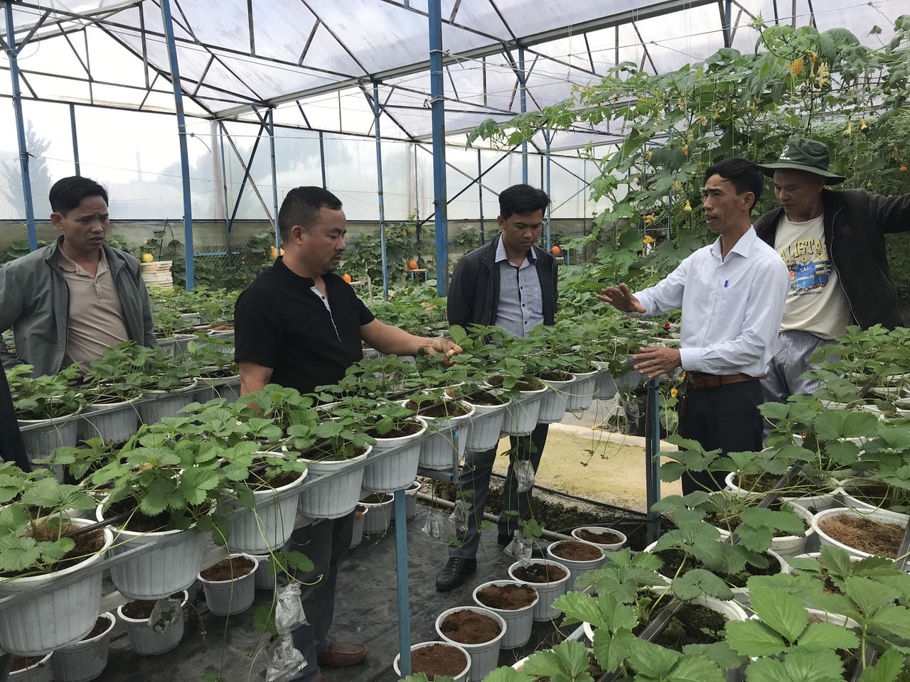 Những khu vườn xanh, sạch đẹp, an toàn ở Đà Lạt