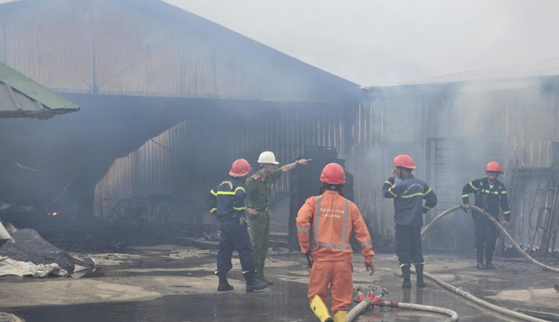 Cháy cơ sở sản xuất nấm rộng hơn 3ha ở Lâm Đồng