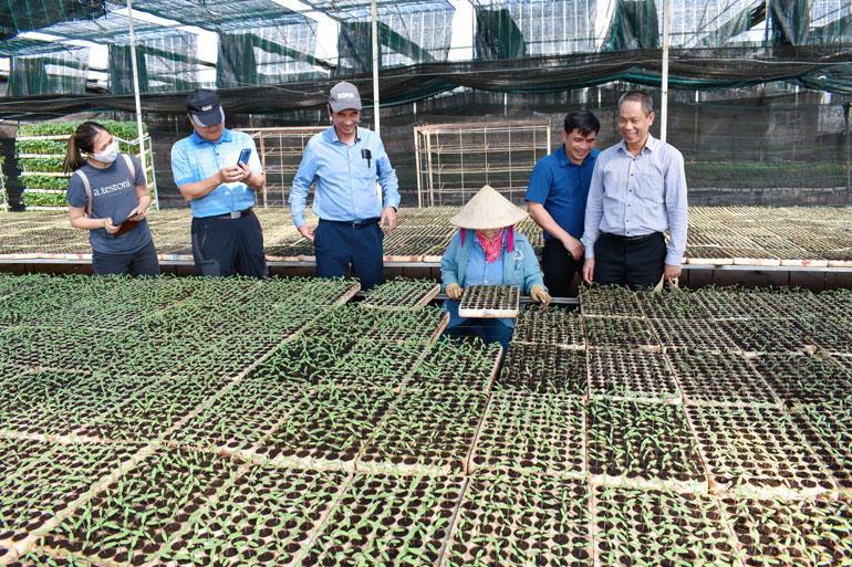 “Chìa khoá” giúp đồng bào dân tộc thiểu số ở Lâm Đồng thoát nghèo
