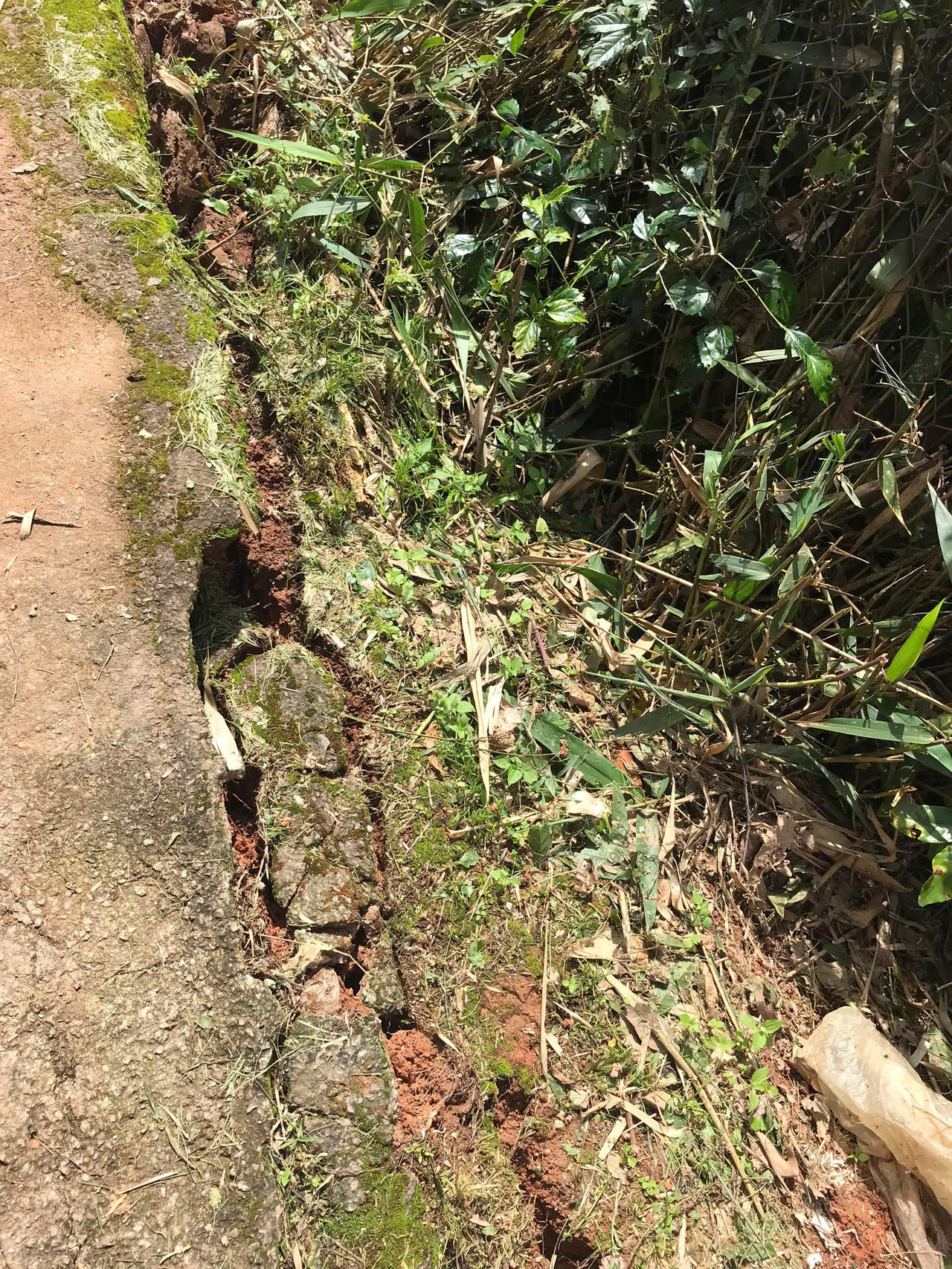 Di dời 5 hộ dân gần điểm nguy cơ sạt lở ở Đà Lạt