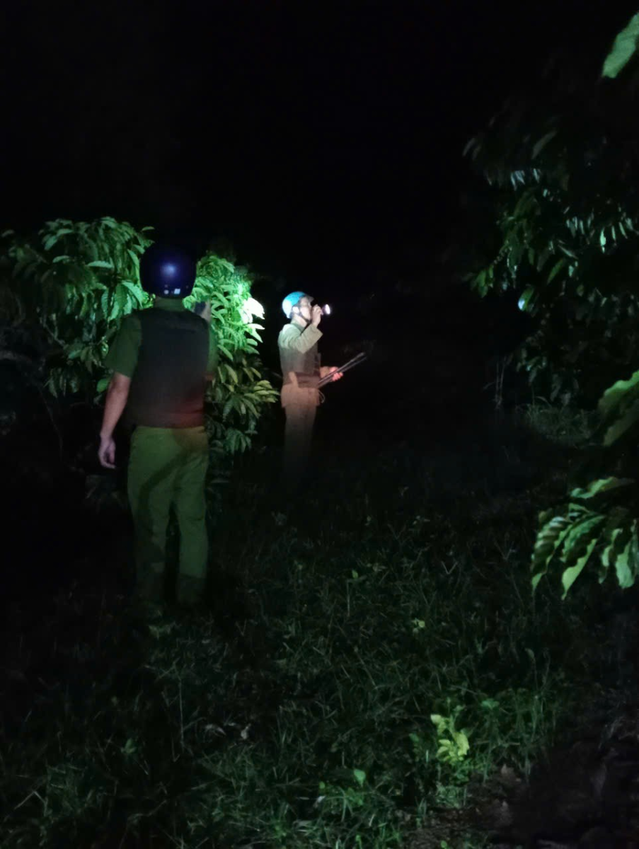 Nhức nhối nạn trộm cắp cà phê ở Tây Nguyên