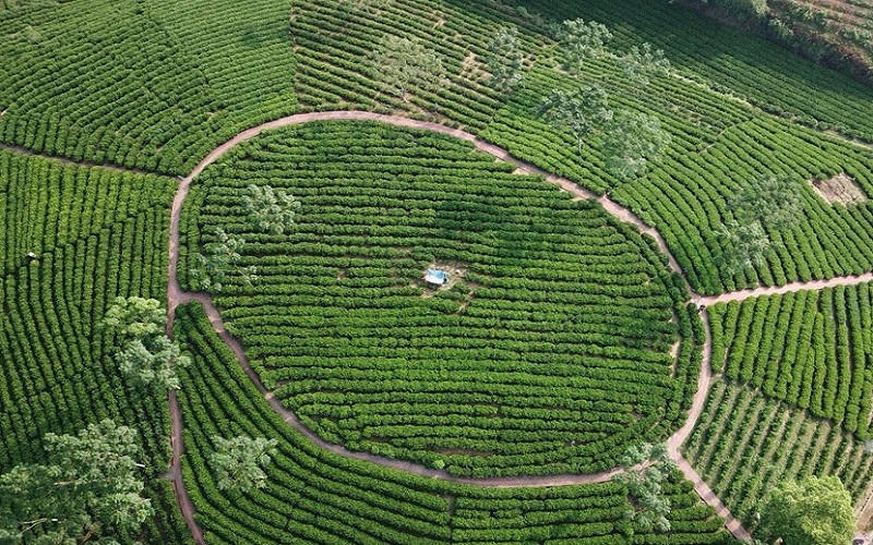 Du lịch tỉnh Thái nguyên chuyên nghiệp và hiện đại, gắn với bảo tồn di sản