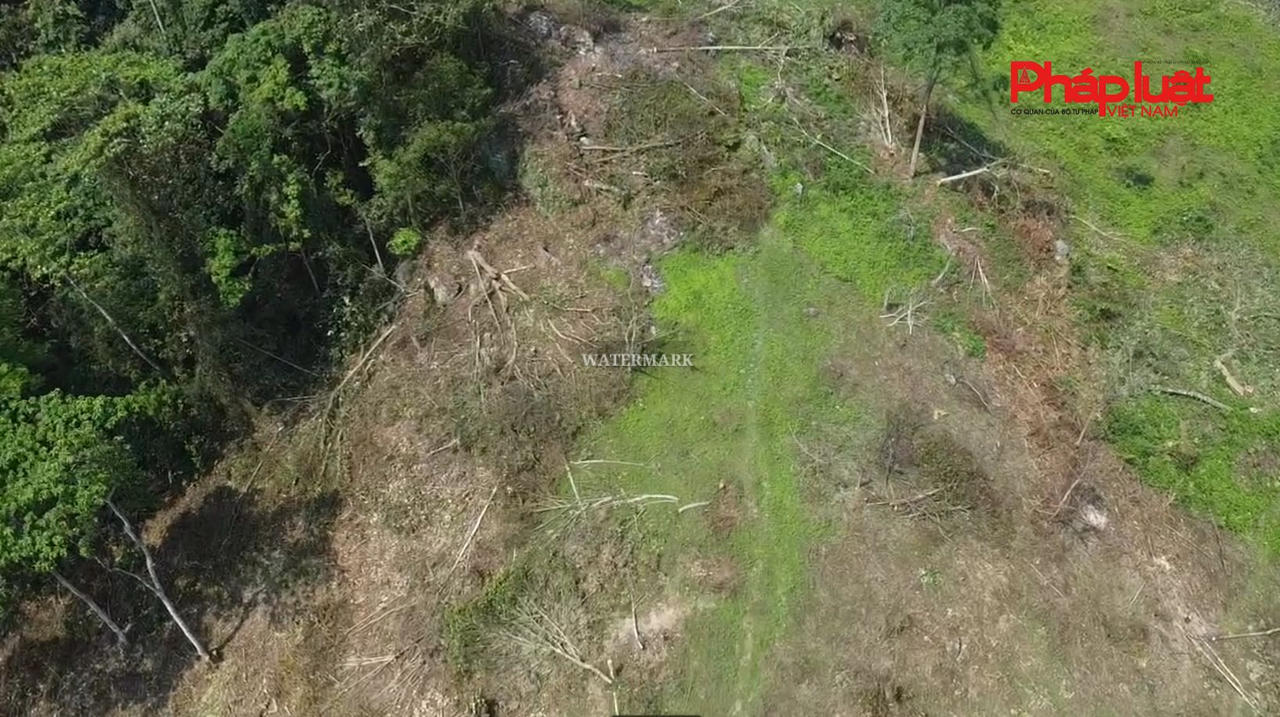 Thái Nguyên - Rừng phòng hộ ở bị "xẻ thịt", cây lâu năm bị thay thế bằng keo non