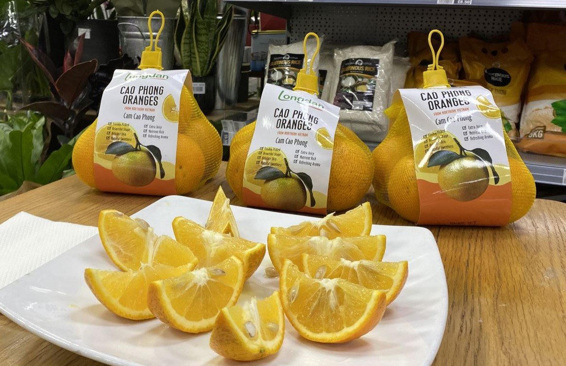 Cây ăn quả có múi – Bước chuyển mình mạnh mẽ từ ứng dụng công nghệ cao