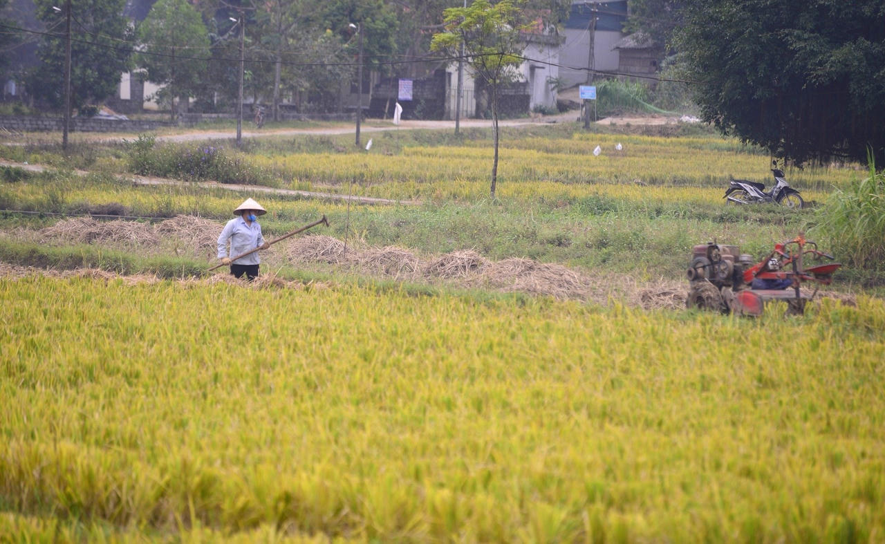Tỉnh Hòa Bình thực hiện hiệu quả Chương trình mục tiêu quốc gia giảm nghèo bền vững