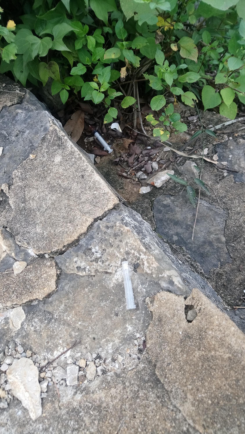 Rác và kim tiêm 'rắc đầy' Khu di tích Thành nhà Mạc Lạng Sơn, núi Tô Thị