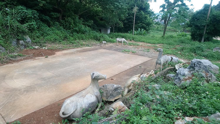 Rác và kim tiêm 'rắc đầy' Khu di tích Thành nhà Mạc Lạng Sơn, núi Tô Thị