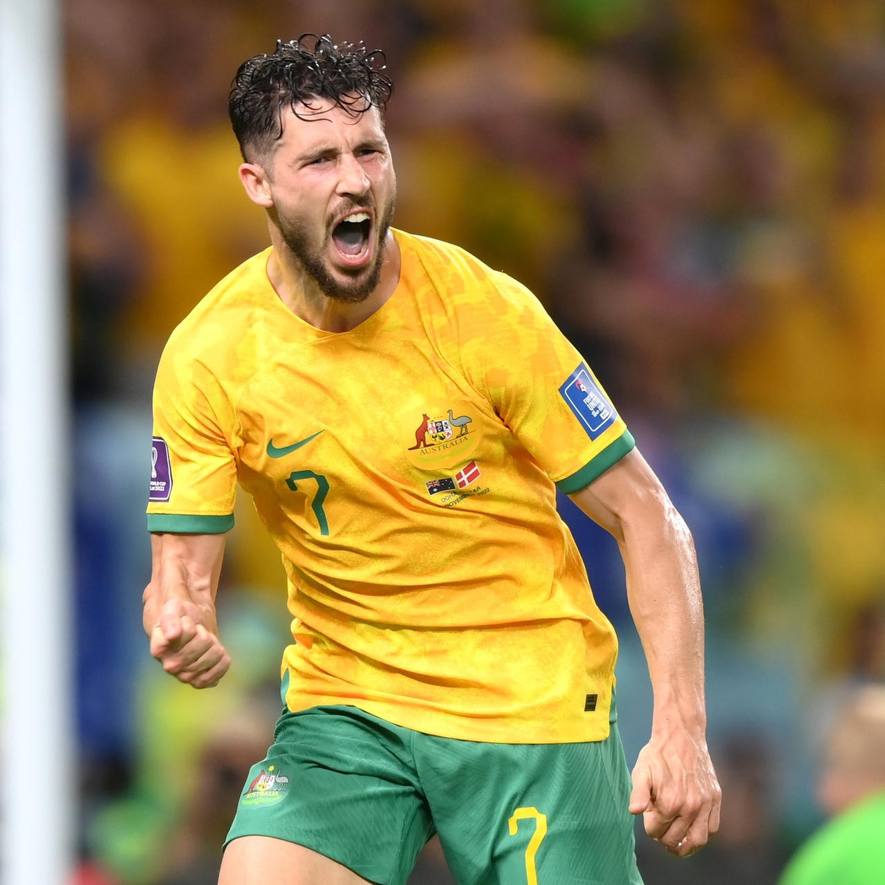 Hình ảnh ăn mừng như vô địch của đội tuyển Australia