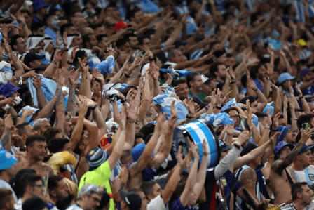 Những chú chuột túi sẽ bị bắt?