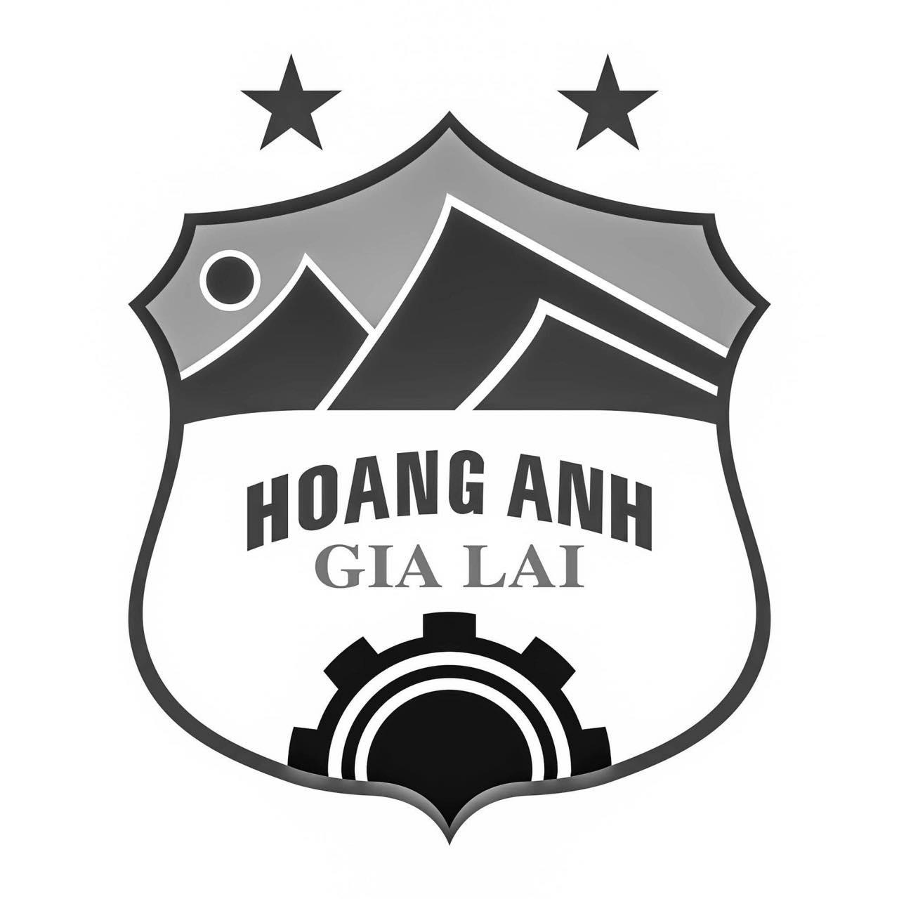  VFF gửi thư chia buồn tới CLB Hoàng Anh Gia Lai