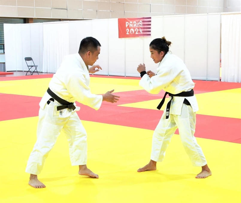 Đoàn thể thao Việt Nam tập luyện ở Pháp