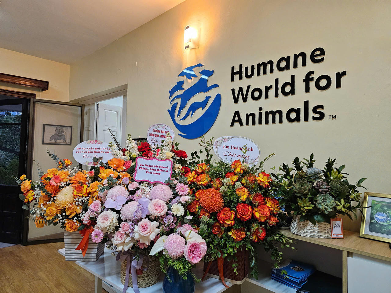  Tổ chức Humane Society International tại Việt Nam chính thức công bố đổi tên