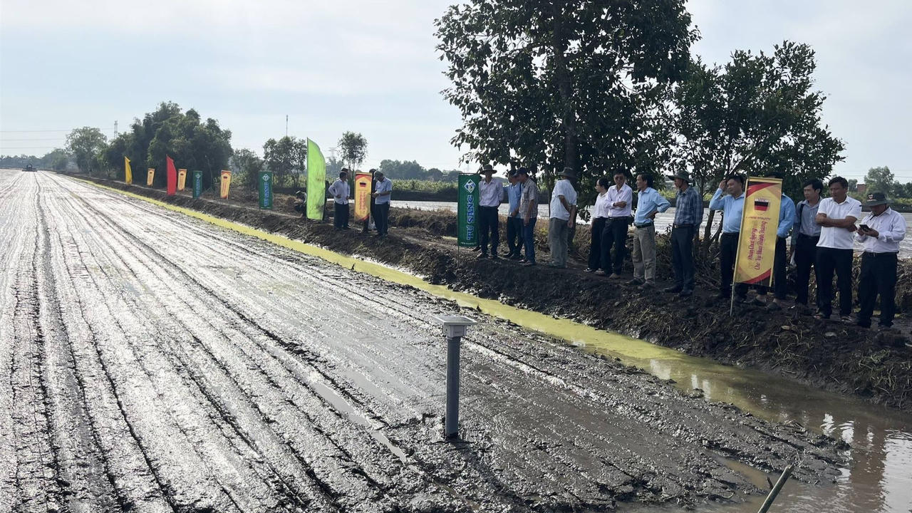 Long An: Định hướng hình thành một triệu héc-ta chuyên canh lúa chất lượng cao 