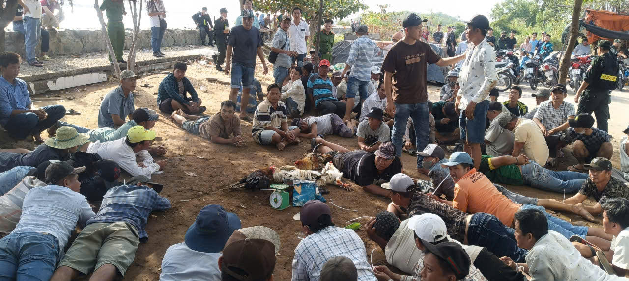 Bắt quả tang 75 đối tượng đá gà ăn thua bằng tiền