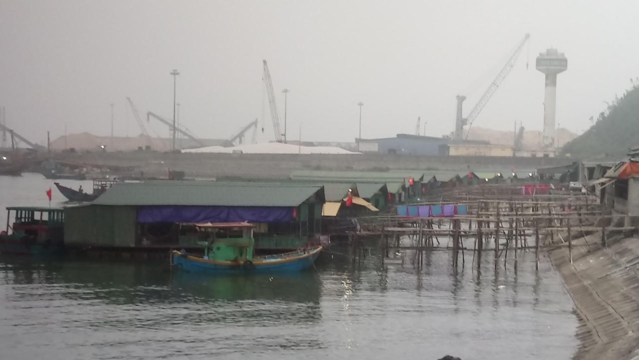 Lại xảy ra hiện tượng cá chết ở Vũng Áng