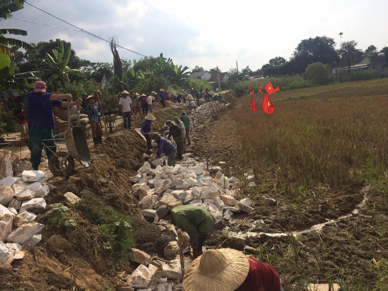 Nghĩa Xuân, xã điển hình trong phát triển kinh tế ở Nghệ An
