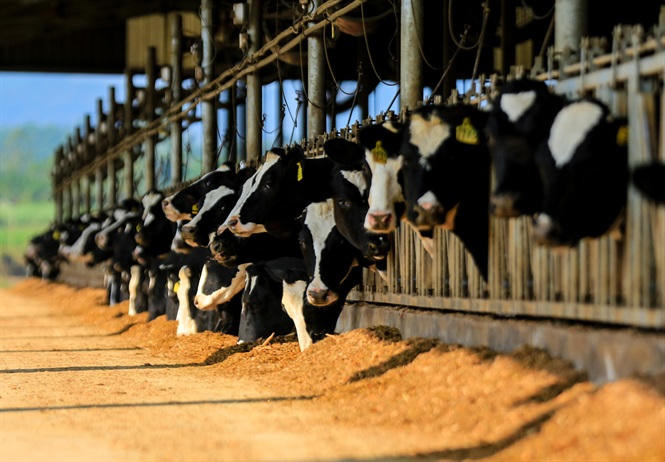 Xứ Nghệ đánh thức tiềm năng nông nghiệp công nghệ cao