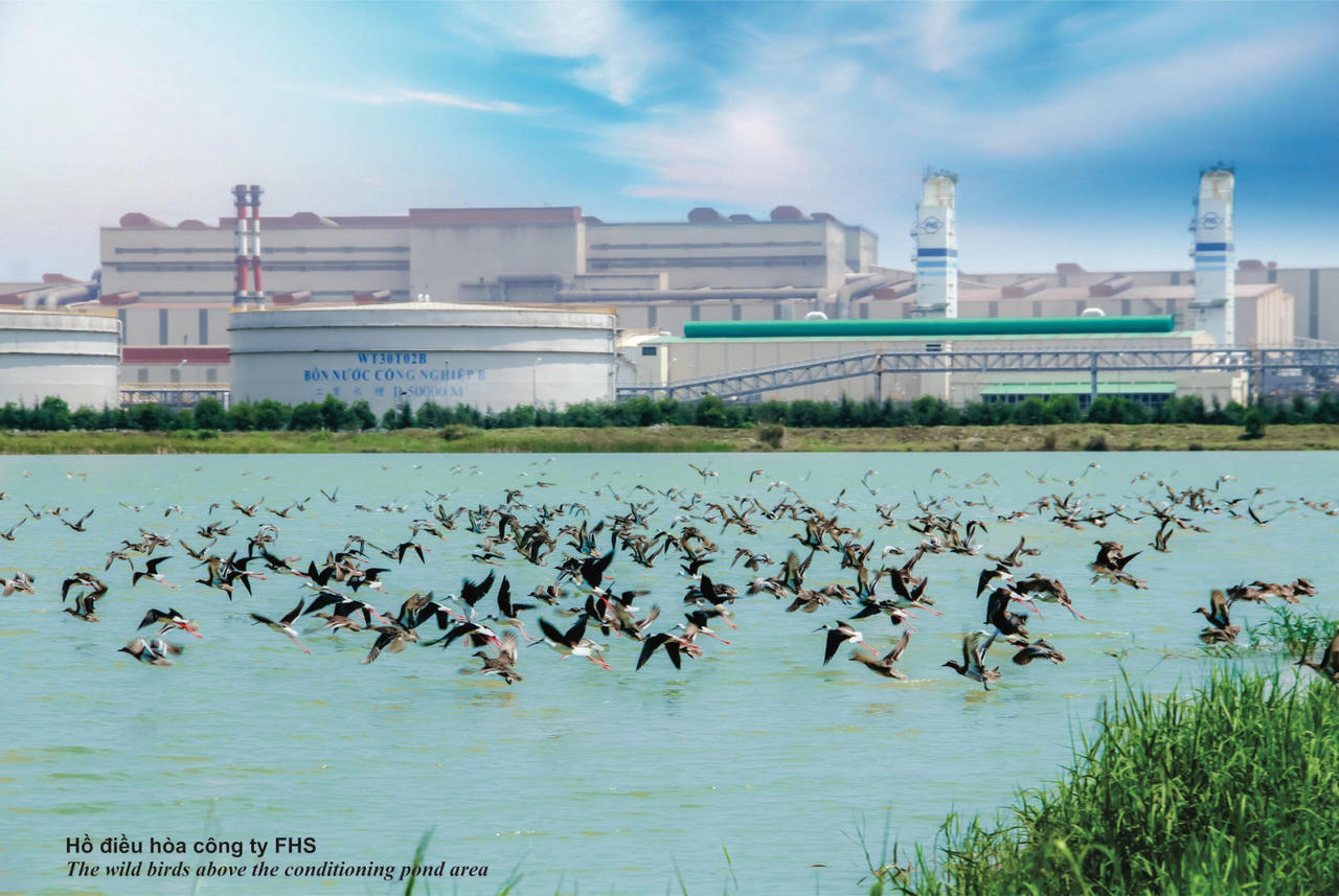 Formosa Hà Tĩnh hướng tới 'công viên hóa' nhà máy