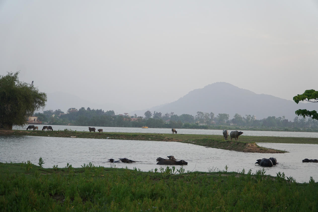 Du lịch ‘sống chậm’ tại ‘ốc đảo’ Hồng Lam