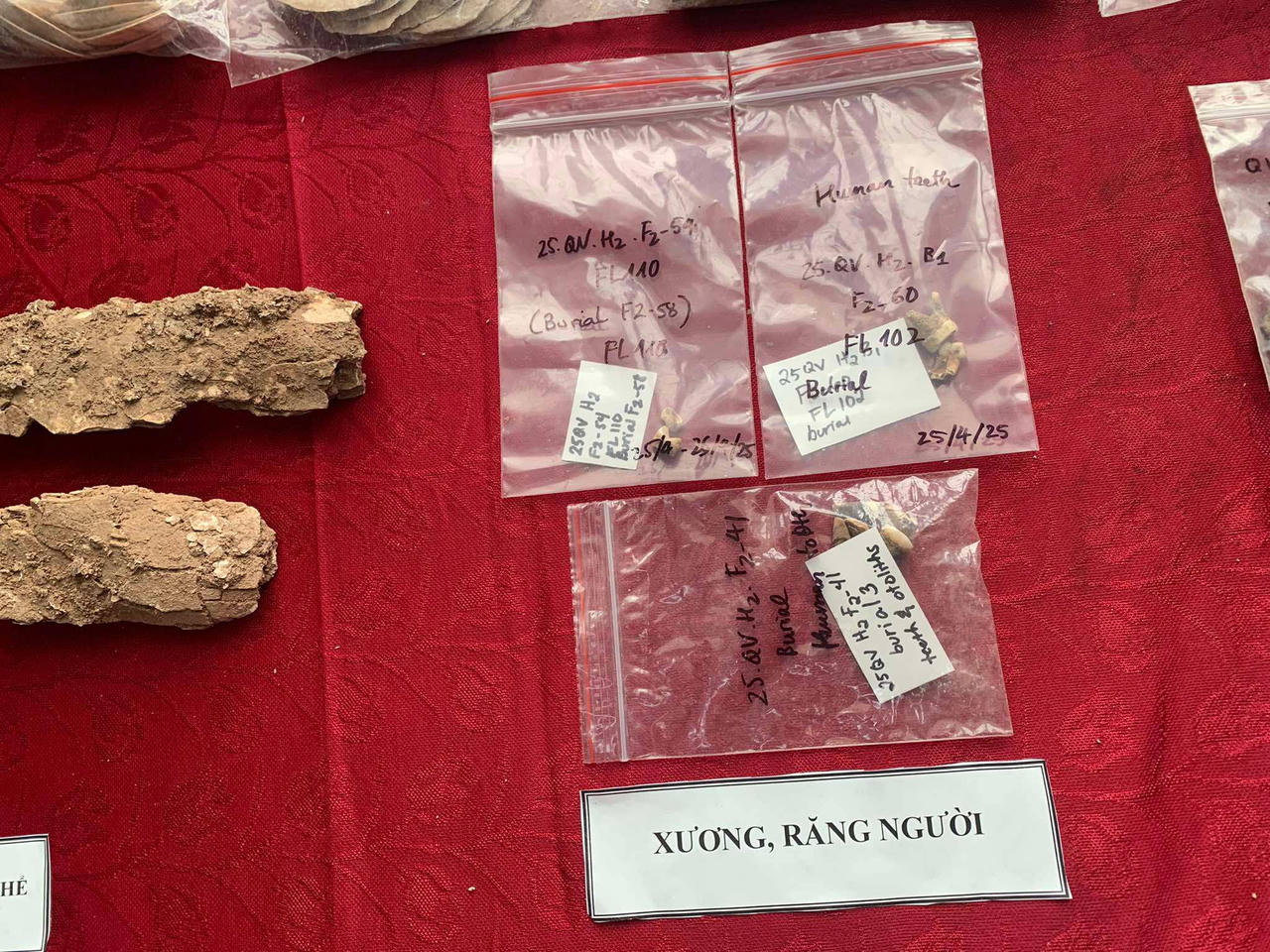 Hé lộ cuộc sống người Việt cổ từ kết quả khai quật nghĩa địa văn hóa Quỳnh Văn