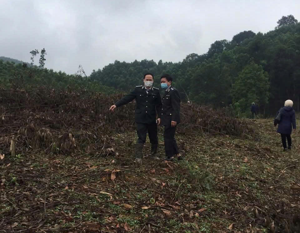 ‘Giải mã’ vụ tranh chấp đất rừng gần một thập kỷ: Sức mạnh tổng lực và cuộc đối thoại bất ngờ trước ngày cưỡng chế