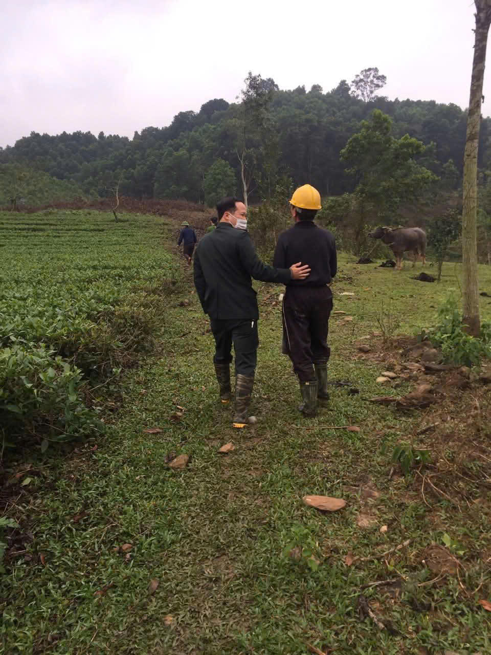 ‘Giải mã’ vụ tranh chấp đất rừng gần một thập kỷ: Sức mạnh tổng lực và cuộc đối thoại bất ngờ trước ngày cưỡng chế