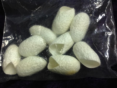 Kén tằm, có thực sự là “thần dược” để làm đẹp?