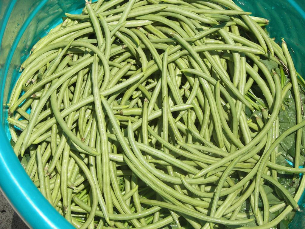 9 món ăn tốt cho người thận hư