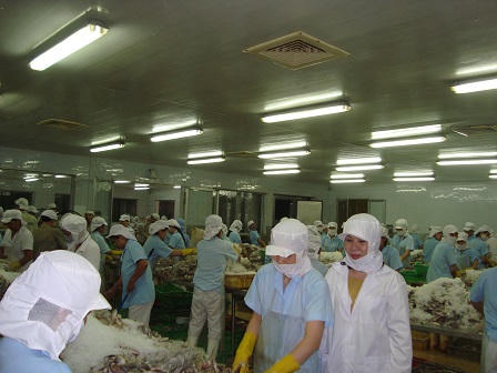 Gặp nữ doanh nhân làm “sống dậy” Vịnh Bắc Bộ