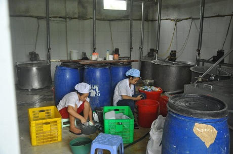 Cảnh hãi hùng sau cánh cửa khu sản xuất sữa tươi