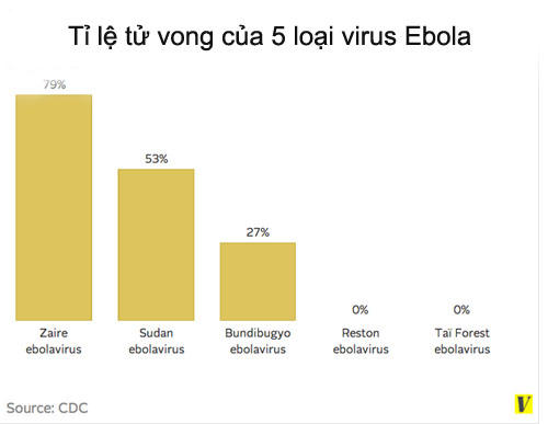 Nhiễm Ebola là nhận “án tử“?