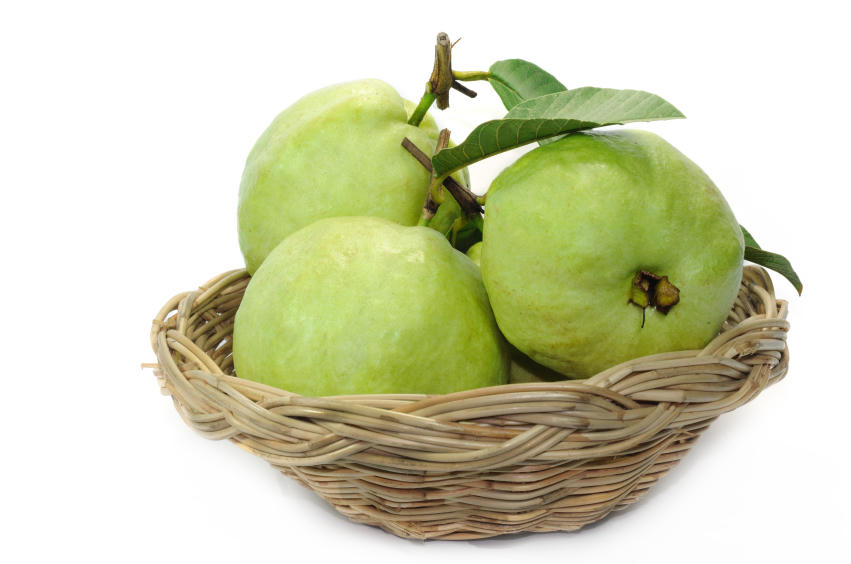 Không cần gặp bác sĩ nhờ...ổi